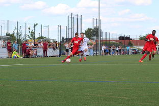 leyu乐鱼在线登录入口-特色足球运动场设计结合智慧城市理念，实现多功能利用，趣味足球场设计